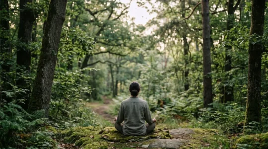 Personne pratiquant la méditation en pleine nature illustrant l'équilibre entre corps, esprit et environnement